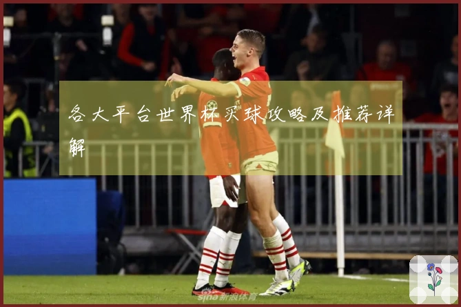 各大平台世界杯买球攻略及推荐详解