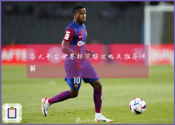 各大平台世界杯买球攻略及推荐详解