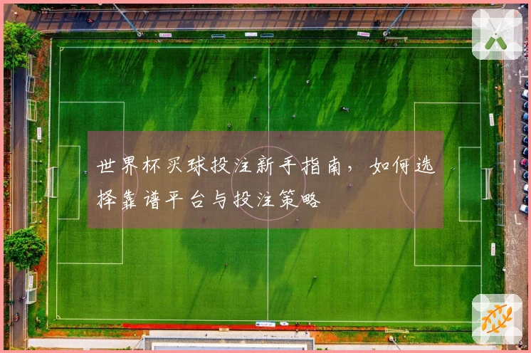 世界杯买球投注新手指南，如何选择靠谱平台与投注策略