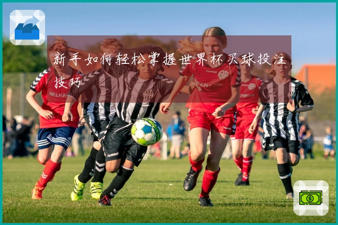 新手如何轻松掌握世界杯买球投注技巧