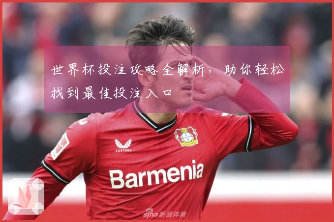 世界杯投注攻略全解析，助你轻松找到最佳投注入口