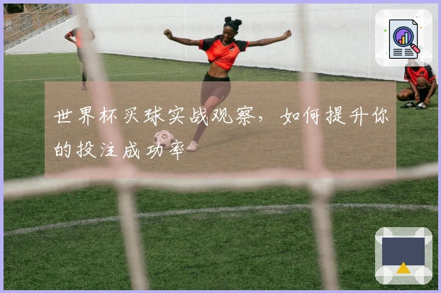 世界杯买球实战观察，如何提升你的投注成功率