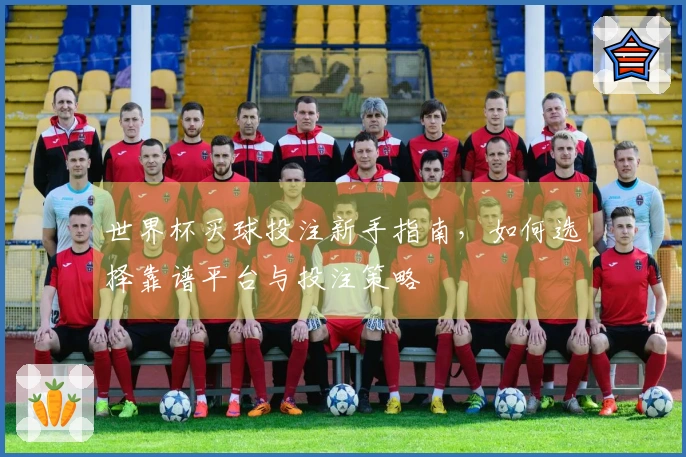 世界杯买球投注新手指南，如何选择靠谱平台与投注策略