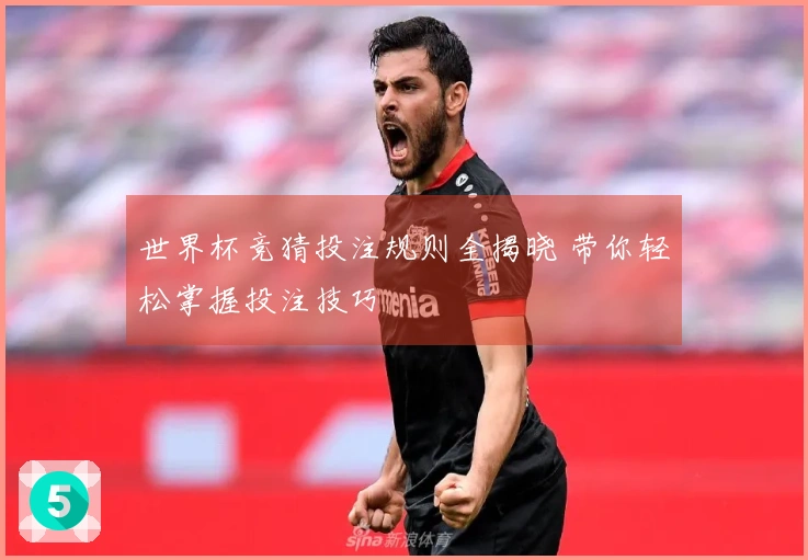 世界杯竞猜投注规则全揭晓 带你轻松掌握投注技巧