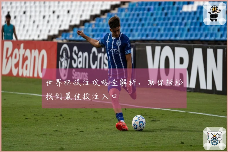 世界杯投注攻略全解析，助你轻松找到最佳投注入口